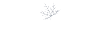 MapleSage-New-logo-without tagline