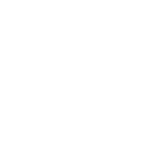 Sagesure_Logo_White