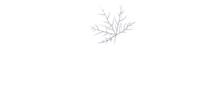 MapleSage-New-logo-without tagline-1