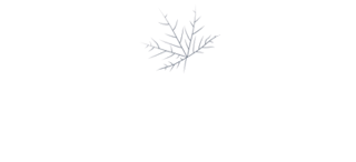 MapleSage-New-logo-without tagline-1